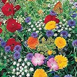 Roll Out Flower Seeded Mats That Attract Butterflies - Set of 2, Butterfly photo / $16.98 ($8.49 / Count)