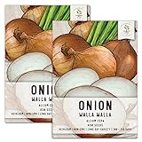 Seed Needs, Walla Walla Onion Seeds for Planting (Allium cepa) Twin Pack of 450 Seeds Each Non-GMO Long Day photo / $8.85