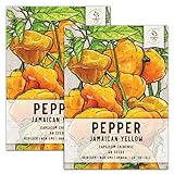 Seed Needs, Jamaican Yellow Pepper Seeds (Capsicum annuum) Twin Pack of 100 Seeds Each Non-GMO photo / $7.99 ($4.00 / Count)