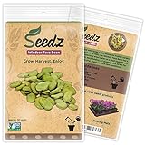 Organic Bean Seeds, APPR. 30, Windsor Fava Bean, Heirloom Vegetable Seeds, Certified Organic, Non GMO, Non Hybrid, USA photo / $7.99
