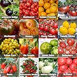Set de graines de tomates PRADEMIR – 16 variétés de tomates - Graines 100% naturelles du Portugal - Variétés rares et anciennes à haut taux de germination. photo / 7,99 €
