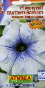 foto Tuin Bloemen Petunia lichtblauw