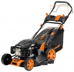 self-propelled lawn mower Daewoo Power Products DLM 5000 SV photo, description, characteristics