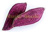 SEMI PLAT FIRM-1bag = 20pcs viola dolci semi di patata bonsai RARE esotico delizioso MINI DOLCE semi di frutta verdura casa e giardino foto / EUR 12,99