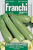 Portal Cool Semi Franchi d'Italia - Zucchine - Alberello di Sarzana - Semi foto / EUR 9,99