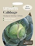 Unwins Pictorial pacco – cavolo Holland Winter bianco – 200 semi foto / EUR 1,66
