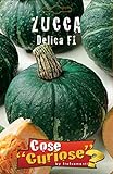 Portal Cool Zucca Delica F1 1 pacchetto semina 1 confezione di semi di zucca foto / EUR 9,99