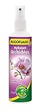ALGOFLASH Hydratant Orchidées, Vaporisation 1 xfois par jour, 250 ml, AORCHYDRA250N photo / 7,10 € (28,40 € / l)