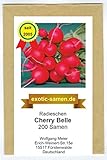 Radieschen - Cherry Belle - schnellwüchsig - früh reifend - köstlich - 200 Samen foto / 1,95 €