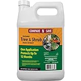 Compare-N-Save Systemic Tree and Shrub Insect Drench - 75333, 1 Gallon photo / $32.62