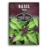 Survival Garden Seeds - Thai Basil Seed for Planting - Packet with Instructions to Plant and Grow Asian Basil Indoors or Outdoors in Your Home Vegetable Garden - Non-GMO Heirloom Variety - 1 Pack photo / $4.99