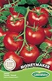 Germisem Moneymacker Semillas de Tomate 1.5 g (EC8021) foto / 2,21 €