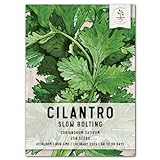 Seed Needs, Cilantro Culinary Herb Seeds for Planting (Coriandrum sativum) Single Package of 250 Seeds Non-GMO / Untreated photo / $3.99