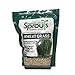 photo Nature Jims Sprouts Wheatgrass Seeds - 100% Organic Wheat Grass Seed for Sprouting - Cat Grass Planter Seeds, Rich in Vitamins, Fiber and Minerals - Non-GMO, Healthy Wheatgrass Sprout Growing Seed