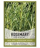 Rosemary Seeds for Planting - It is A Great Heirloom, Non-GMO Herb Variety- Great for Indoor and Outdoor Gardening by Gardeners Basics photo / $5.95