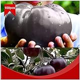 Portal Cool 100pcs / bolsa de carne de vaca gigante Negro híbridos de tomate Semillas orgánicos de la herencia del jardín del tomate foto / 4,99 €