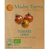 Madre Tierra - Semillas Ecologicas de Tomate Cebra -( Licopersicum Sculentum) Origen Alicante- España - Semillas Especiales - 1.5 gramos foto / 9,73 €