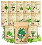 NatureZ Edge 12 Herb Seeds Variety Pack, 6000+ Heirloom Seeds for Planting Hydroponic Indoor or Outdoor Home Garden Plant Seed, Parsley, Cilantro, Basil, Thyme, Chamomile, Oregano, Dill & More NonGMO photo / $14.99