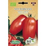 Germisem Orgánica San Marzano Semillas de Tomate 0.5 g foto / 3,99 €