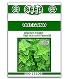 Oregano Seeds - 500 Seeds Non-GMO photo / $1.59 ($0.00 / Count)
