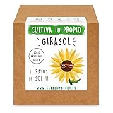 Garden Pocket - Kit Cultivo Girasol foto / 8,90 €