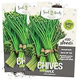 Seed Needs, Garlic Chives Herb (Allium tuberosum) Twin Pack of 400 Seeds Each Non-GMO photo / $3.99