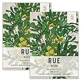 Seed Needs, Rue Herb (Ruta graveolens) Twin Pack of 200 Seeds Each Non-GMO photo / $8.85 ($0.04 / Count)