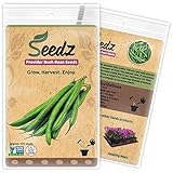 Organic Green Bean Seeds, APPR. 125, Green Bean, Heirloom Vegetable Seeds, Certified Organic, Non GMO, Non Hybrid, USA photo / $7.88