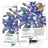 Seed Needs, Blue Borage Herb (Borago officinalis) Twin Pack of 100 Seeds Each photo / $4.85 ($0.05 / Count)