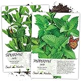 Seed Needs, Non-GMO Mint Garden Seeds for Planting (Includes 2,000 Seeds Collectively) Spearmint & Peppermint photo / $6.85