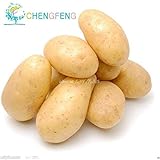 Pinkdose Nuovo piante fresche 50 Pz piante di patate nutrizione Verde Verdura Per la casa & amp; Piante di patate Giardino di impianto assorbendo la radiazione: Viola foto / 