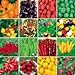 foto 700PC weltweit umfassendste Vier Arten von Gemüse und Obst Samen. (RADISH, Auberginen, Paprika, Tomatensamen) Bunte Garten