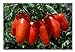 foto Premier Seeds DirectORG113 „San Marzano 2“ organische TomatenSamen (Packung mit 60)