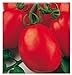 foto 700 aprox - Tomatensamen Roma V - F - Lycopersicum Esculenthum In Originalverpackung Hergestellt in Italien - Tomaten
