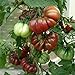 foto 10 Samen Cherokee Purple Tomate – alte Indianersorte, sehr gut im Geschmack