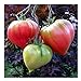 foto Fleischtomate Tomate - Anna Russian - frühe Sorte bis 500g - 20 Samen