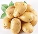 foto 120 PC / bag Importierte Kartoffelsamen Anti-Falten Ernährung Grün Bonsai Gemüse für Hausgarten Pflanz strahlungsabsorbierende