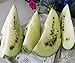 foto Bobby-Seeds Melonensamen Cream of Saskatchewan Wassermelone Portion