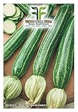 40 C.ca Semi Zucchino San Pasquale - Cucurbita Pepo In Confezione Originale Prodotto in Italia - Zucchine foto / EUR 7,40