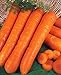 foto Shoppy Star: 200pcs Natürliche Karotte Samen, Sara Mate-Karotten-Gemüse, für Spring Garden Pflanz