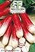 foto 600 aprox - Rettich Samen Halb Lange Rot Weiß Tipp 2 - Raphanus sativus In Originalverpackung Made in Italy - Lange Ravanelli