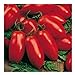 foto Rote Tomate in Flaschenform - San Marzano - Flaschentomate - 20 Samen