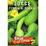 Vivai Le Georgiche Zucca Tromba Di Albenga (Semente) foto / EUR 3,90