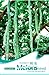 foto 4 Tropical Snake Kürbiskerne - Trichosanthes Anguina L - Kürbiskern in Original Pflanzliche Verpackung