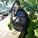 foto 10 Samen Aubergine Black Beauty – ertragreiche Sorte mit dunkelvioletten Früchten
