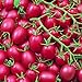 foto Cherrytomate - Tomate - Pink Grape - sehr ertragreich - süß - 10 Samen