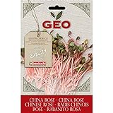 Geo China Rose Semi da Germoglio, Marrone, 12.7x0.7x20 cm foto / EUR 12,73