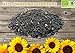 foto 20 kg Bio Sonnenblumenkerne Wildvogelfutter Vogelfutter