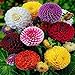 foto Reefa 200 Stücke Mischfarbe Zinnia Blumen Samen Bonsai Garten Dekoration