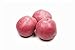 photo Seed Potatoes for Planting Russet - 5 lb
